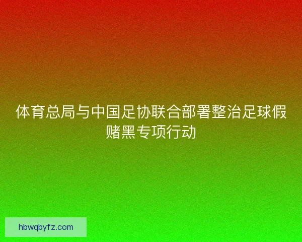 体育总局与中国足协联合部署整治足球假赌黑专项行动